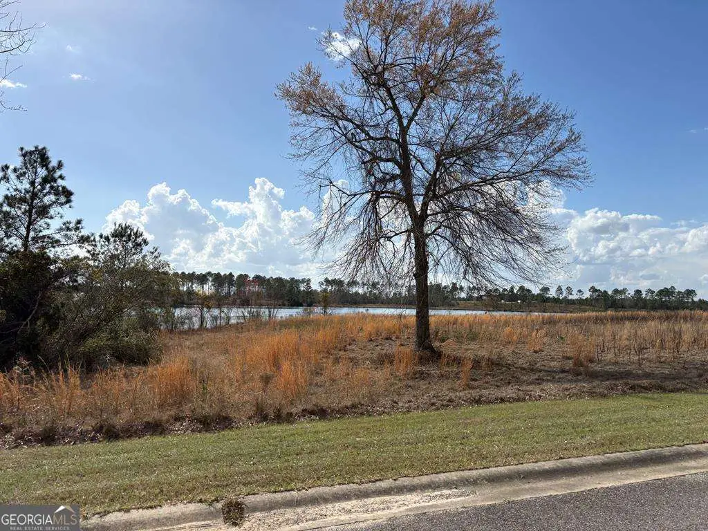 600 Thompson Level Road, Lyons, GA 30436 - #1
