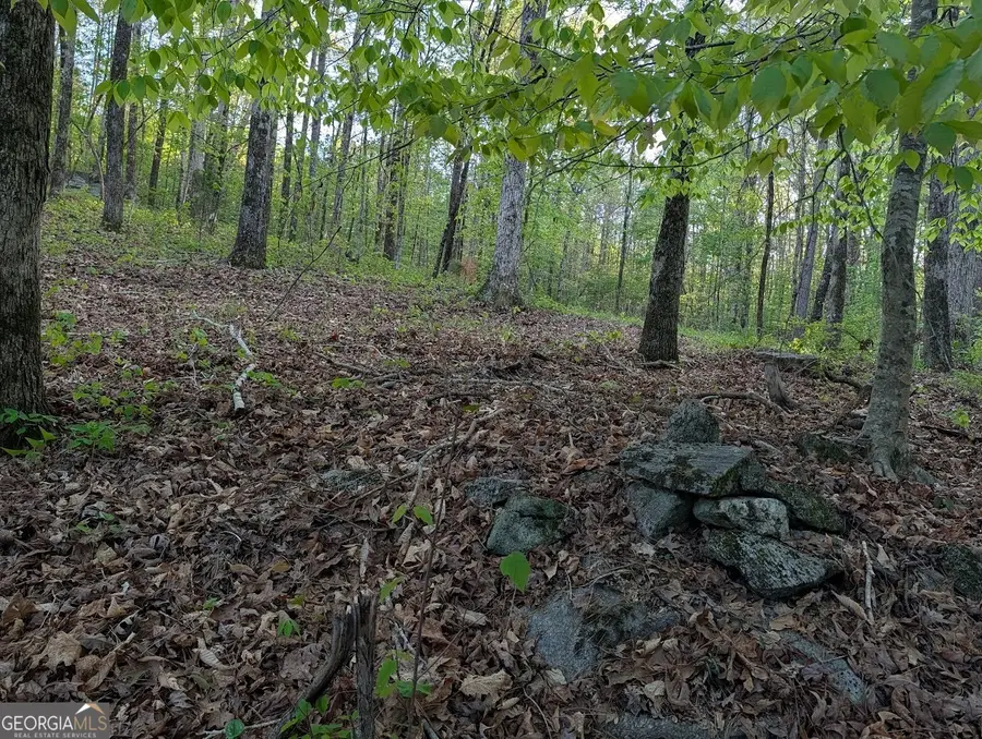 0 Ga Hwy 116, Hamilton, GA 31811 - #3