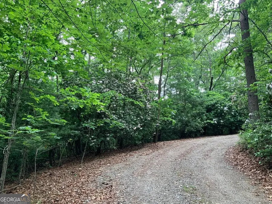 277 Hamilton Road, Blairsville, GA 30512 - #3