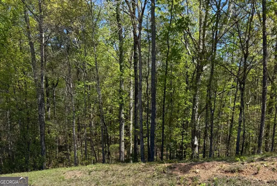 0 Us Hwy 27, Bremen, GA 30113 - #2