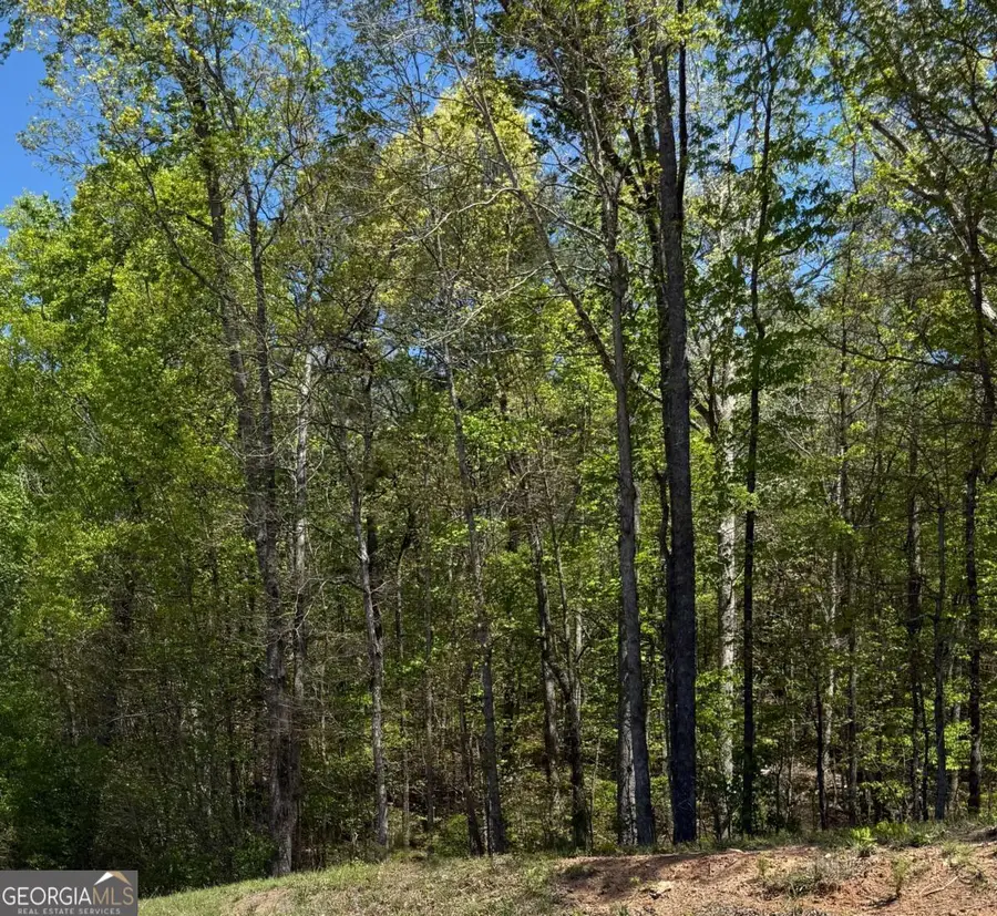 0 Us Hwy 27, Bremen, GA 30113 - #3