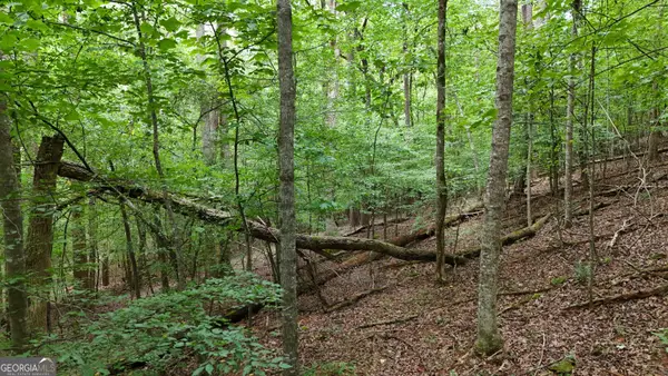 LOT 16 Morris Trail, Cleveland, GA 30528