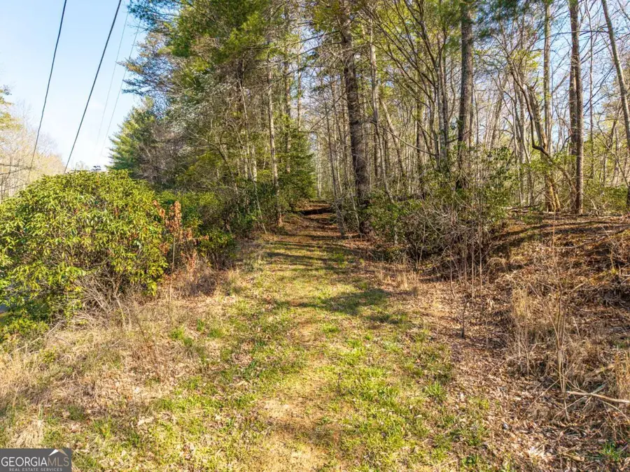 4.38 A Mountain Tops Road, Blue Ridge, GA 30513 - #2