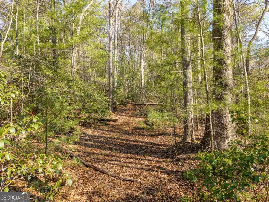 4.38 A Mountain Tops Road, Blue Ridge, GA 30513 - #3