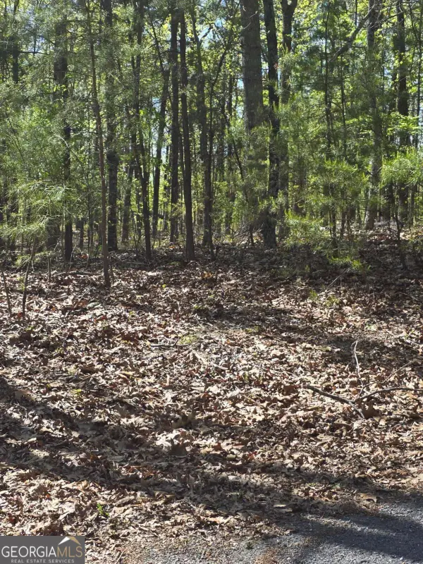 1354 Hunter Drive, Ranger, GA 30734