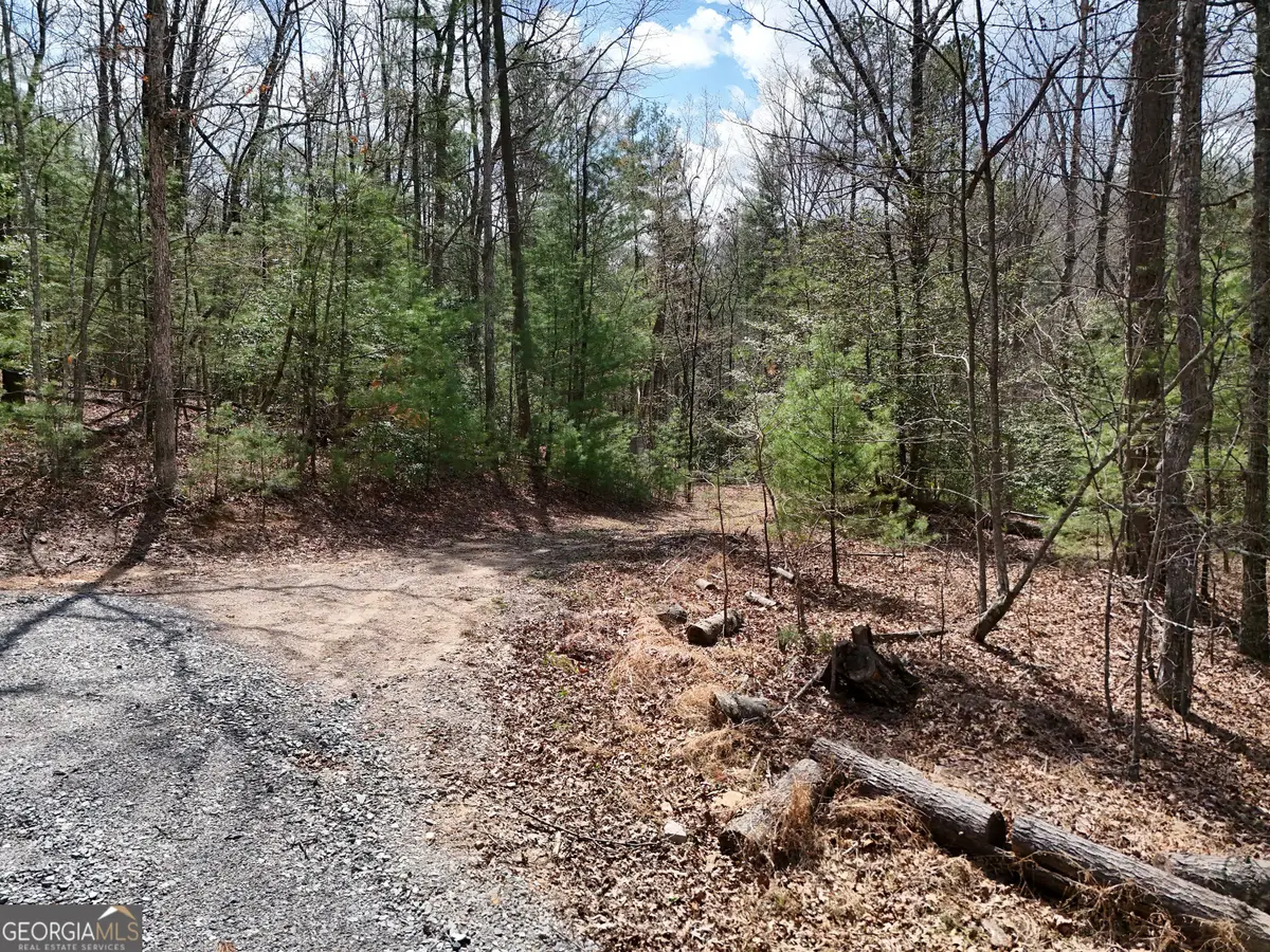 LT 117 Laurel Trace, Blue Ridge, GA 30513 - #1