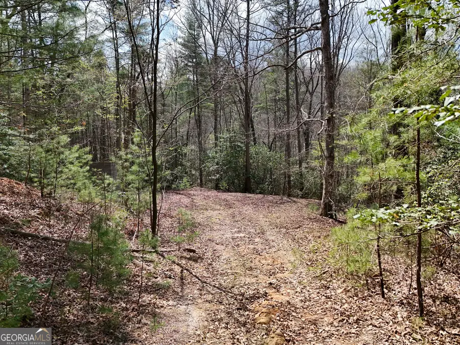 LT 117 Laurel Trace, Blue Ridge, GA 30513 - #2