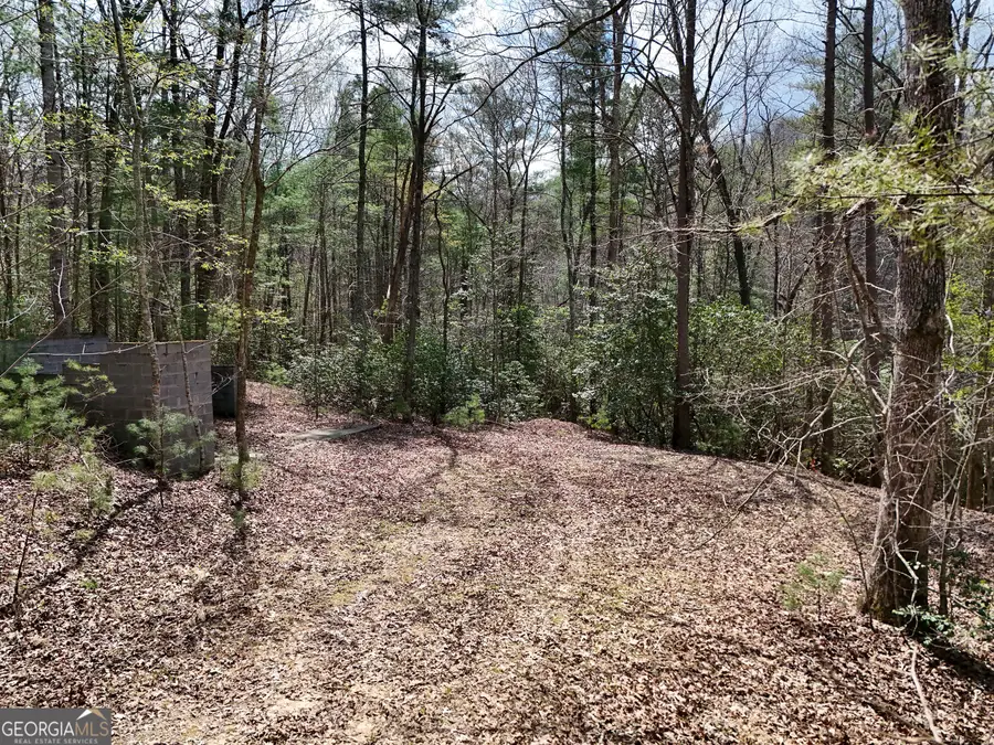 LT 117 Laurel Trace, Blue Ridge, GA 30513 - #3