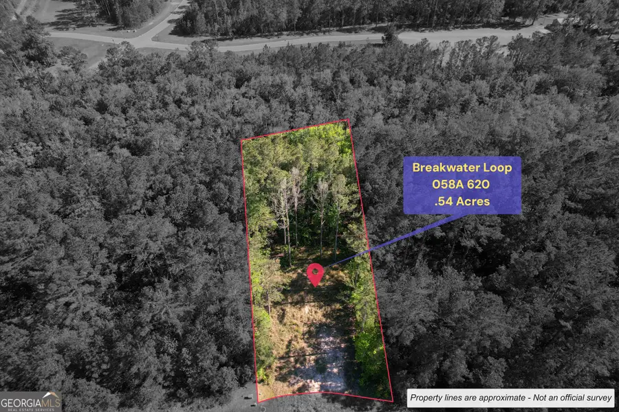 0 Breakwater Loop Loop, Kingsland, GA 31548 - #2