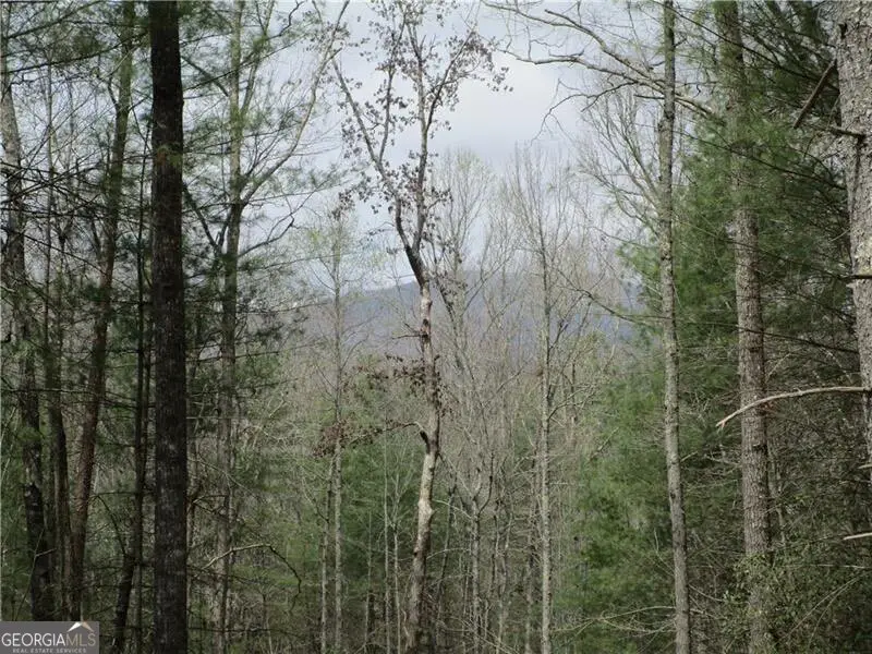 3 AC East New Hope Road, Ellijay, GA 30536 - #2