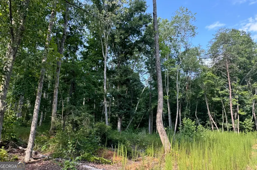 LOT 6 Parker Point, Cornelia, GA 30531 - #2