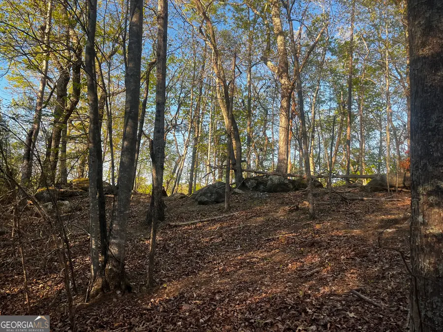 140 Lakeview Walk, Banks, GA 30511 - #3