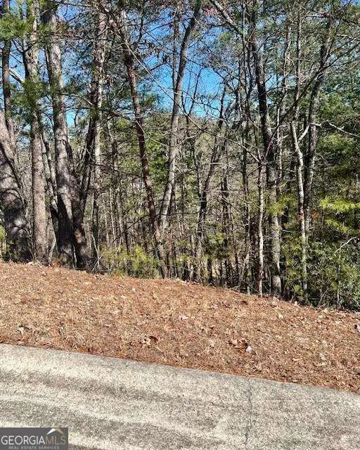 0 Rosen Strasse, Helen, GA 30545 - #1