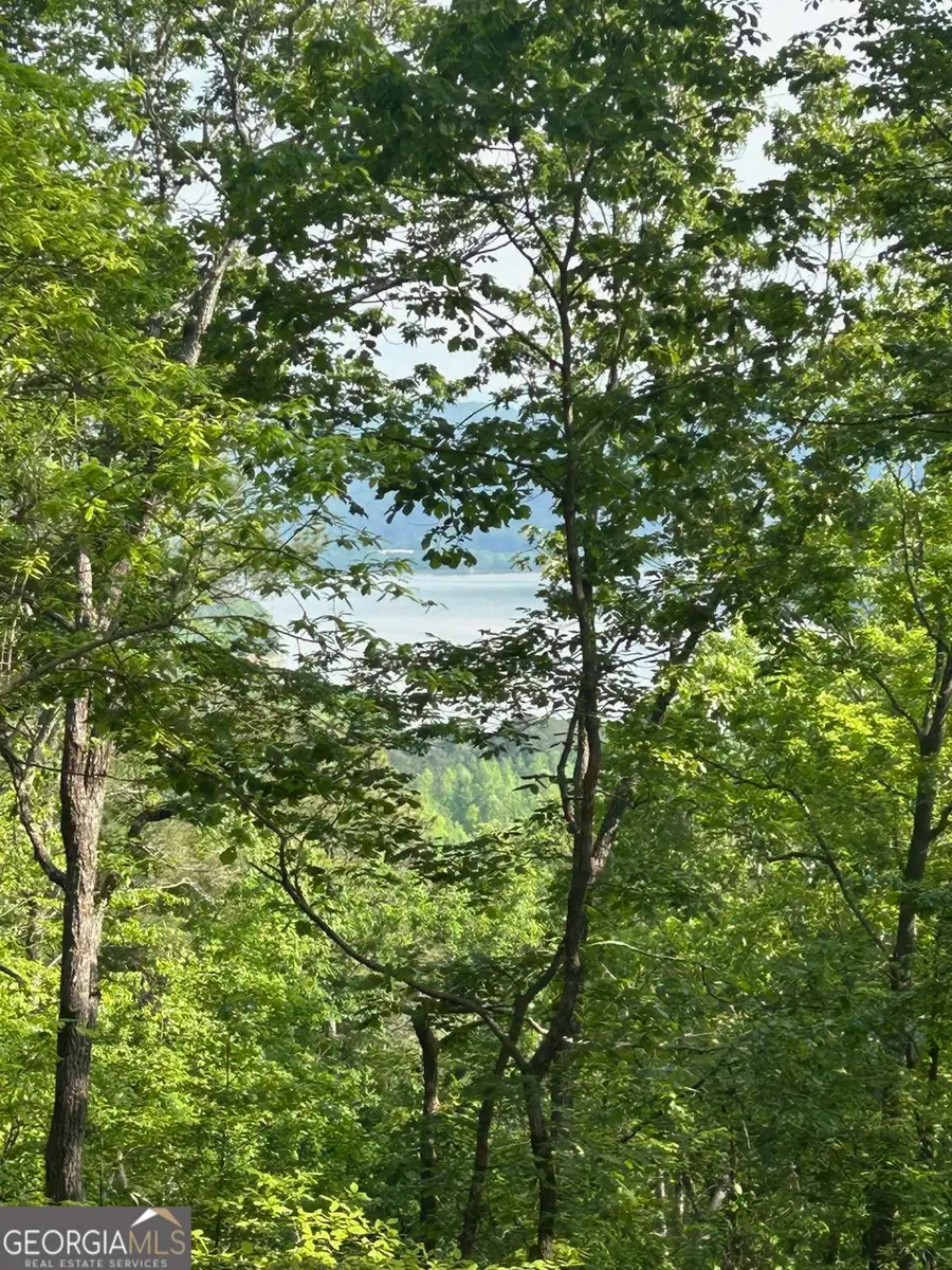 324 Adair Drive, Ranger, GA 30734 - #2