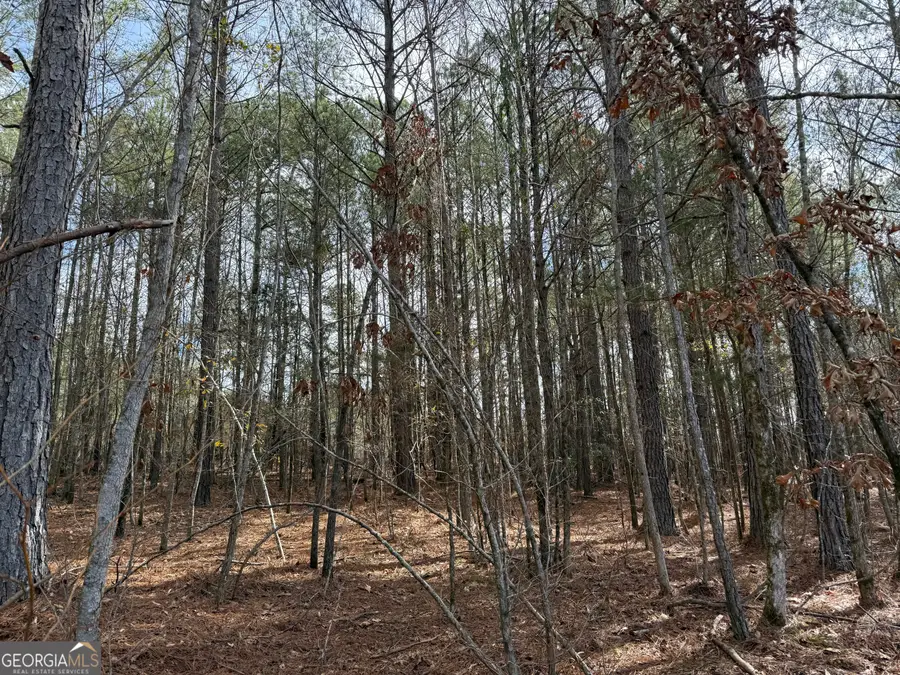 4.51 ACRES Whatley Road N, Lagrange, GA 30240 - #3