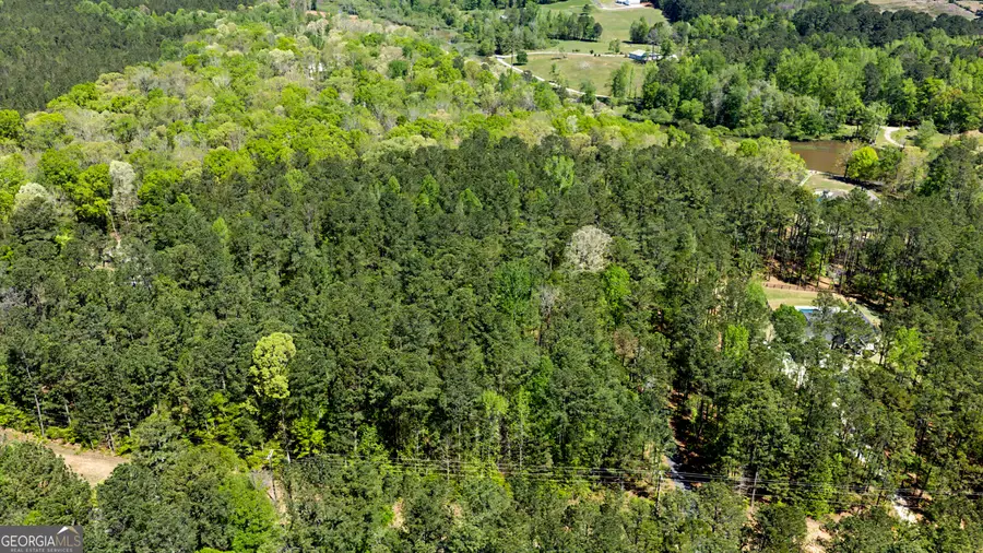 0 Deep South Rd. #2, Senoia, GA 30276 - #3