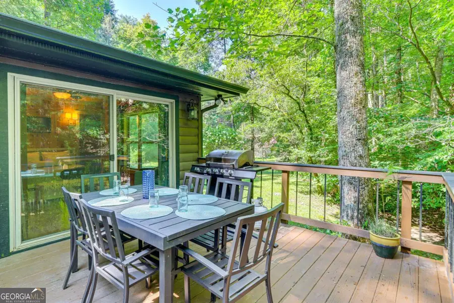 5491 Turniptown Road, Ellijay, GA 30536 - #2