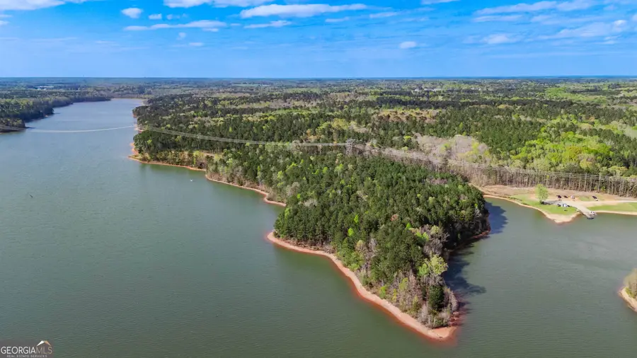 0 Hunter Road, Locust Grove, GA 30248 - #3