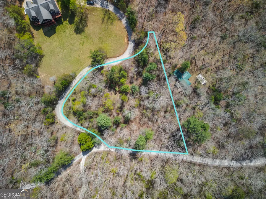 1.02 ACRES Jennifer Lane, Mineral Bluff, GA 30559 - #2
