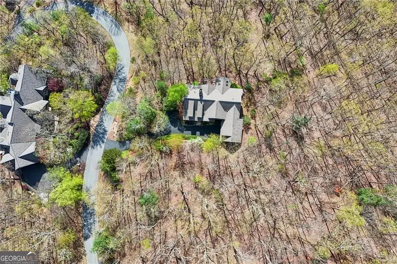 8240 Cox Mountain Drive, Big Canoe, GA 30143 - #2