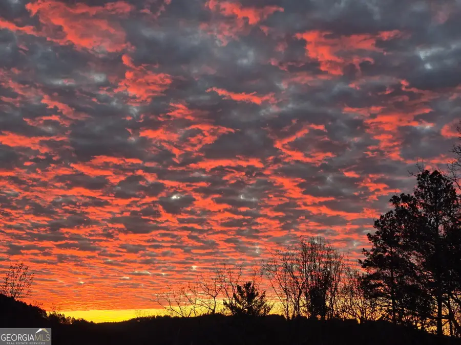 1621 Dover Circle, Ranger, GA 30734 - #2