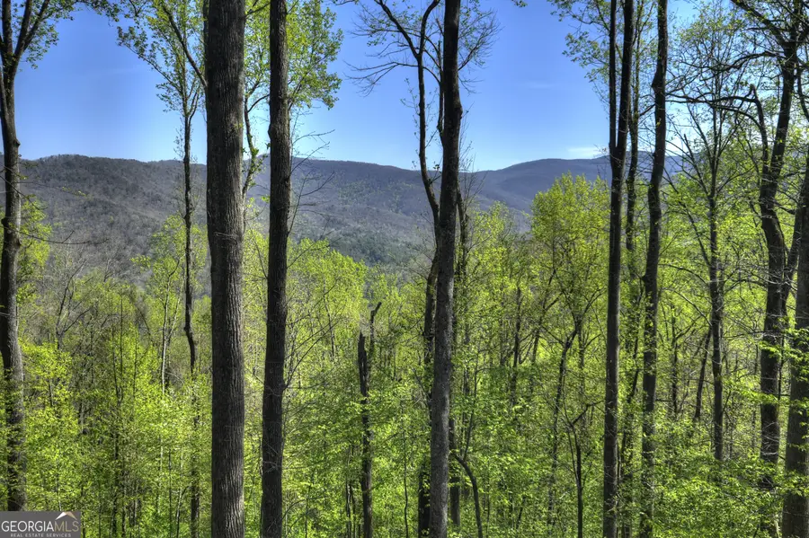 1831 Walnut Ridge, Ellijay, GA 30536 - #3