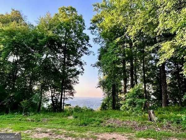 0 Mountainside Drive #LOT 17, Cleveland, GA 30528