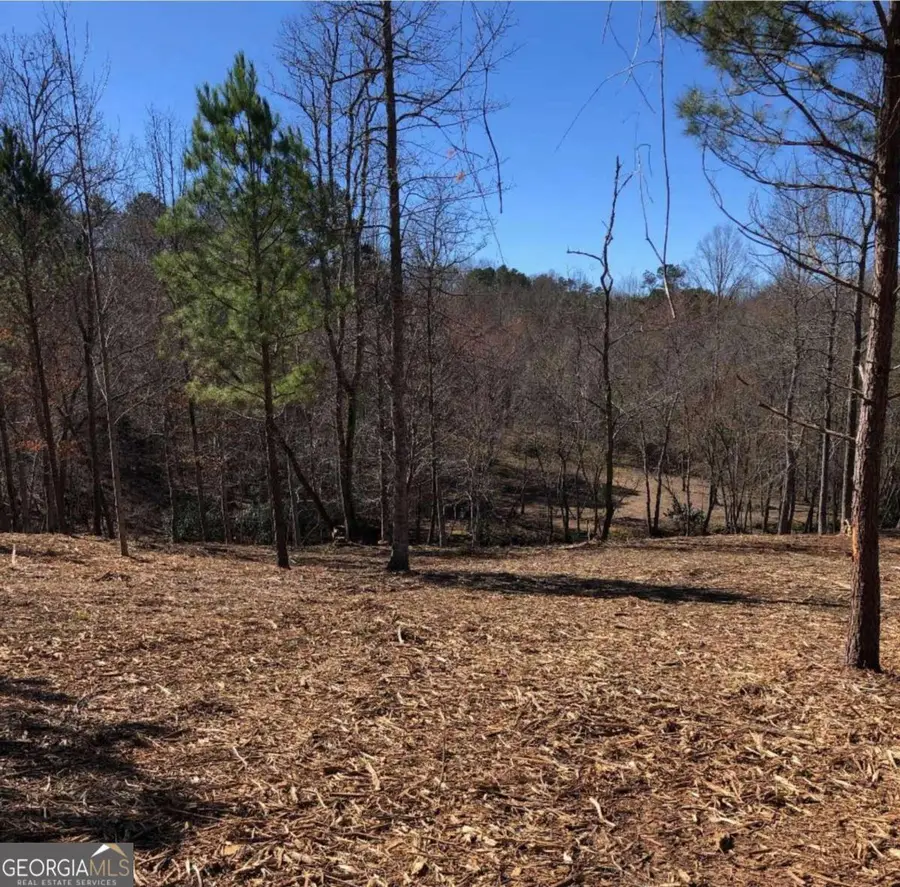 LT 26 Arbor Creek Trail #26, Mineral Bluff, GA 30559 - #2