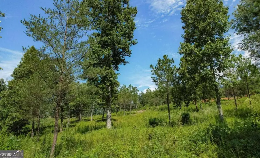 LT 26 Arbor Creek Trail #26, Mineral Bluff, GA 30559 - #3