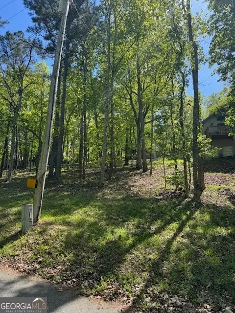 LOT 40 Royal Lodge Estates, Pine Mountain, GA 31822 - #2