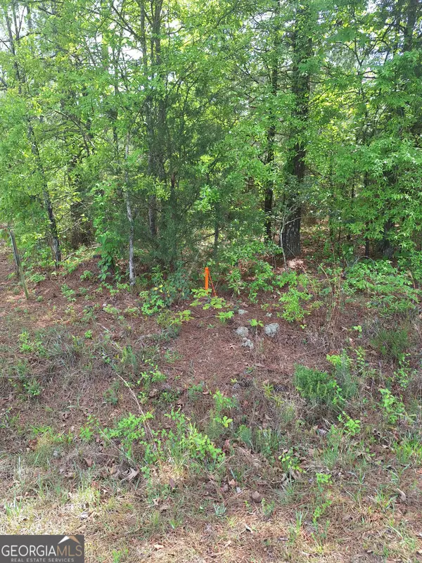 0 Hester Road, Elberton, GA 30635