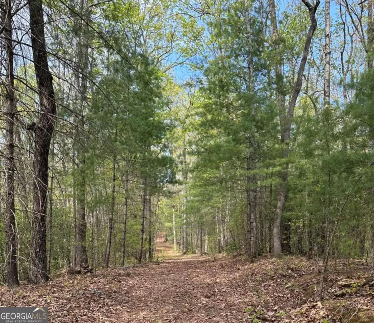 LOT 20 Big Ben Road #20, Ellijay, GA 30540 - #1