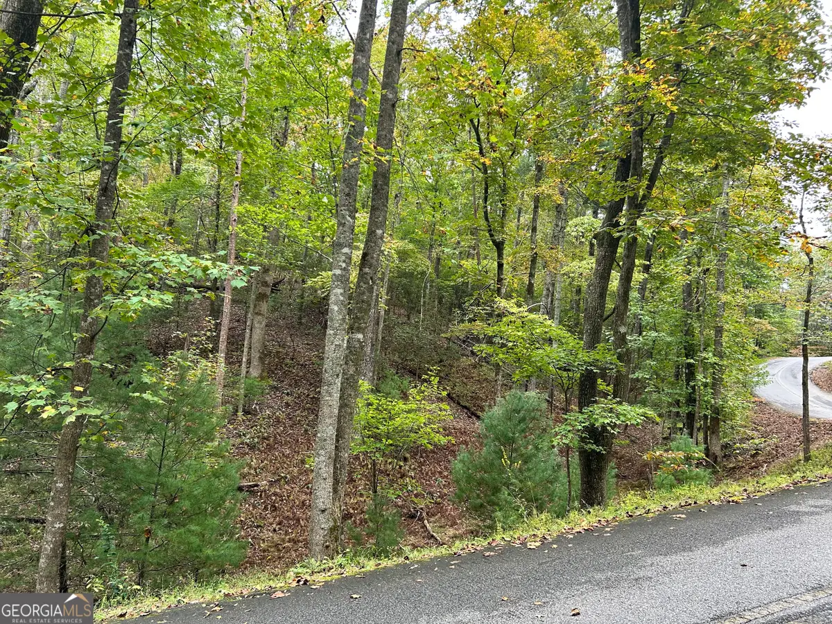 0 Lower Gap Road #W16, Sautee Nacoochee, GA 30571 - #1
