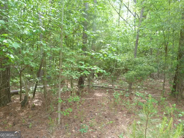 0 Winfield Road, Appling, GA 30802