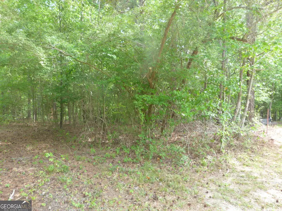0 Winfield Road, Appling, GA 30802 - #2