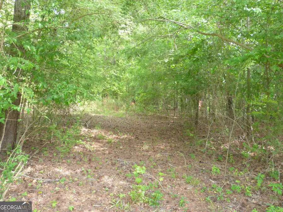 0 Winfield Road, Appling, GA 30802 - #3