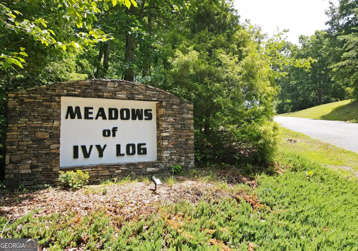LOT 40 Ivy Meadow Lane, Blairsville, GA 30512 - #1