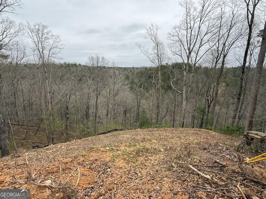 135 Flat Ridge Road, Ellijay, GA 30540 - #3