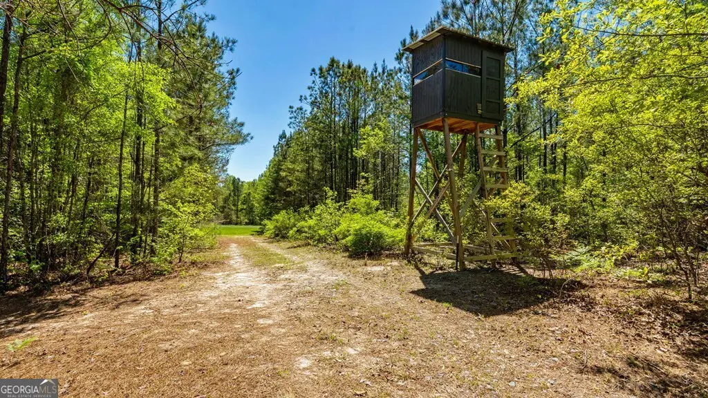 0 Wainwright Road, Butler, GA 31006 - #1