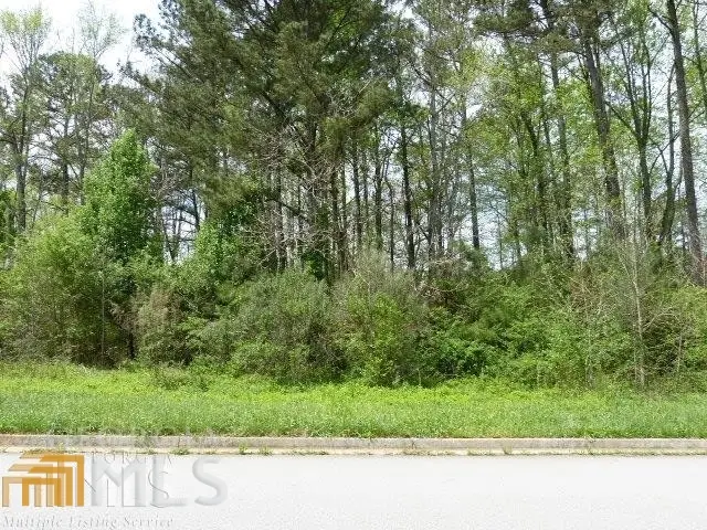 204 Benefield Court, Stockbridge, GA 30281 - #3