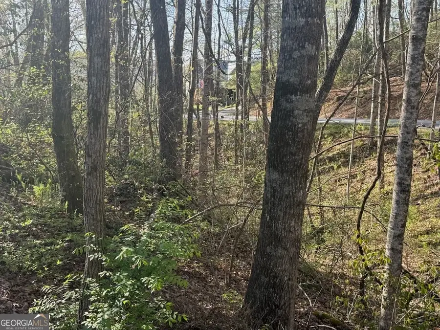 0 Thunderhead, Sky Valley, GA 30537 - #3