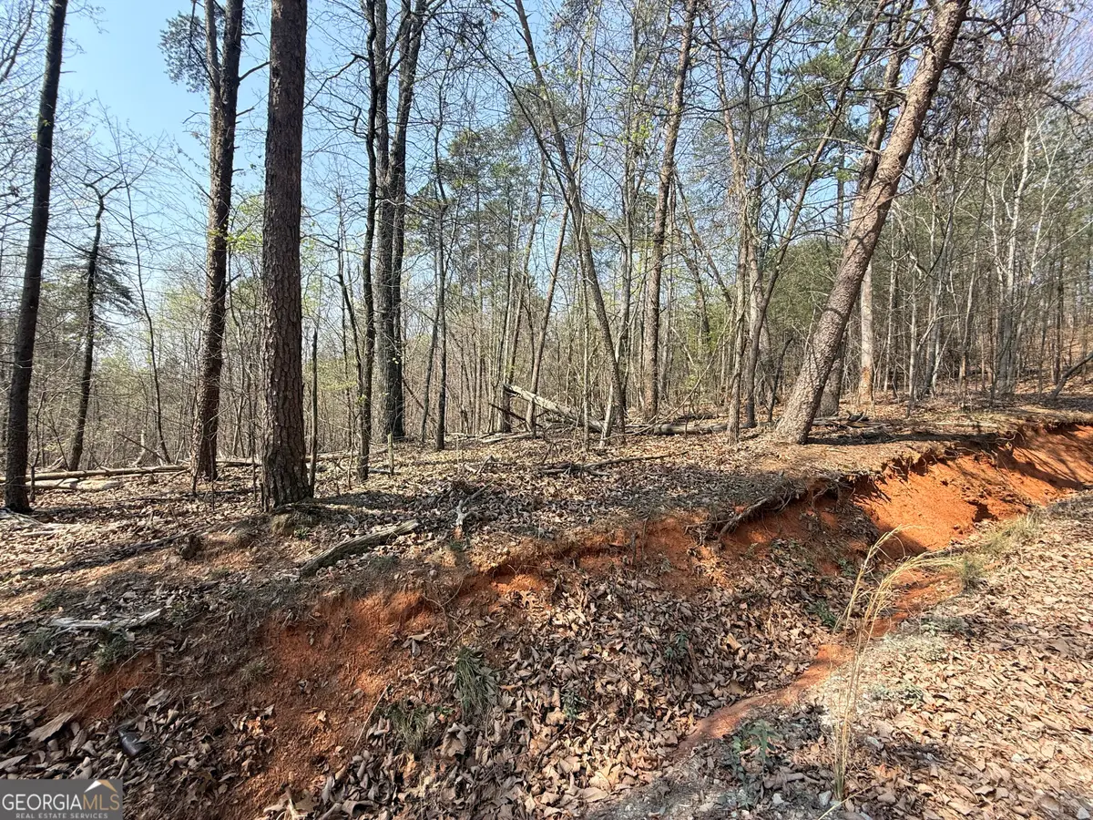 LOT 202 Baldwin Heights Road, Banks, GA 30511 - #1
