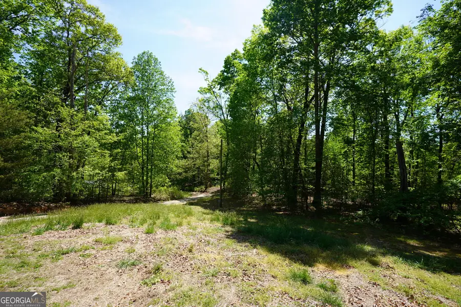 302 Jackson Road, Cleveland, GA 30528 - #3