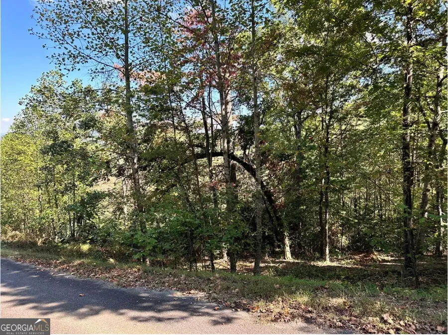 LOT 3 Ruby Ridge, Young Harris, GA 30582 - #2