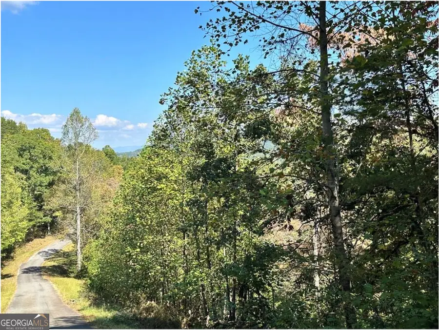 LOT 3 Ruby Ridge, Young Harris, GA 30582 - #3