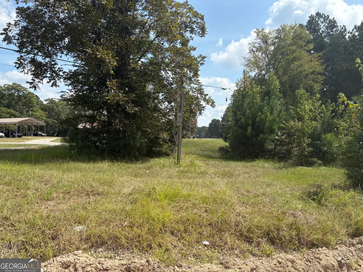 LOTS 11 & 12 Shoals Road, Sparta, GA 31087 - #1