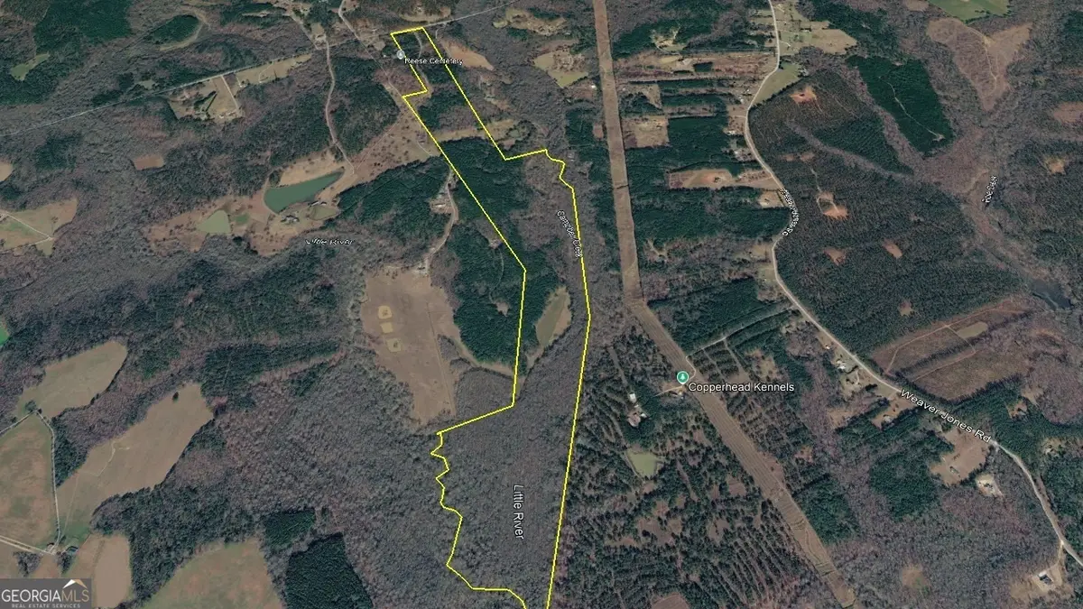 2230 Reese Road #TRACT C, Rutledge, GA 30663 - #1