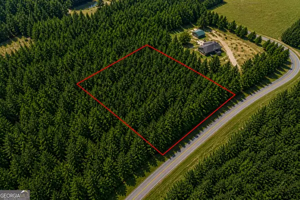 1.3 ACRES Walter Phillips Road, Hazlehurst, GA 31539