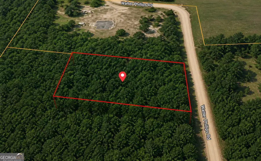 1.3 ACRES Walter Phillips Road, Hazlehurst, GA 31539 - #2