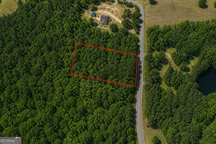 1.3 ACRES Walter Phillips Road, Hazlehurst, GA 31539 - #3